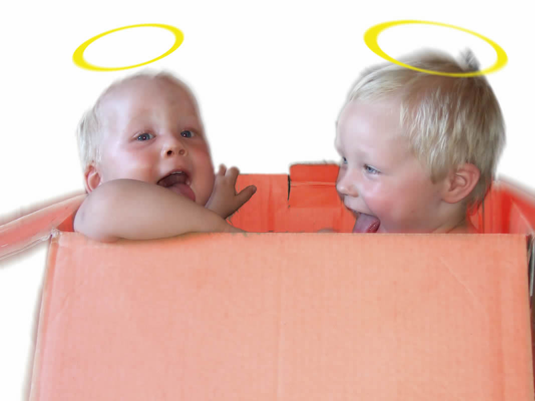 Felix und Max